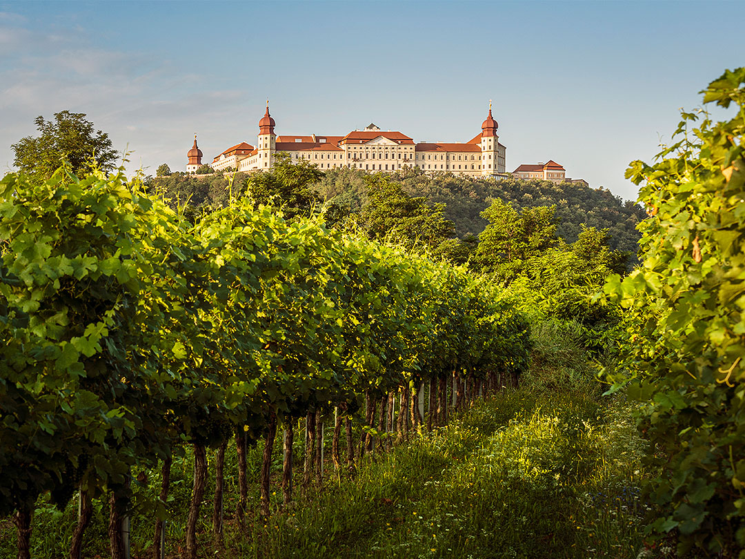 Danube Wine Region