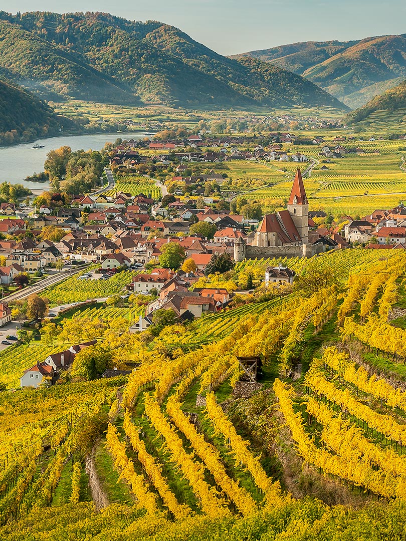 Danube Wine Region