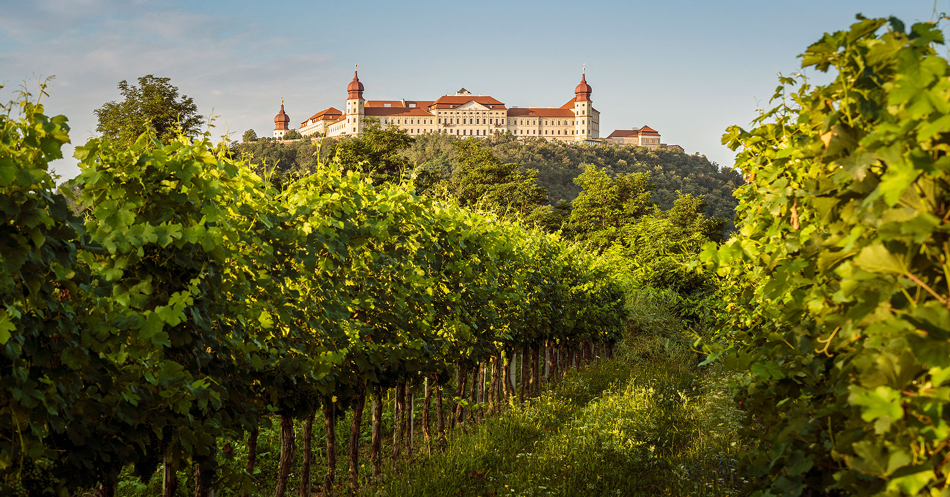 The Danube Wine Region