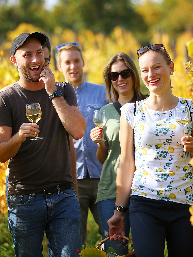 People in the vineyard