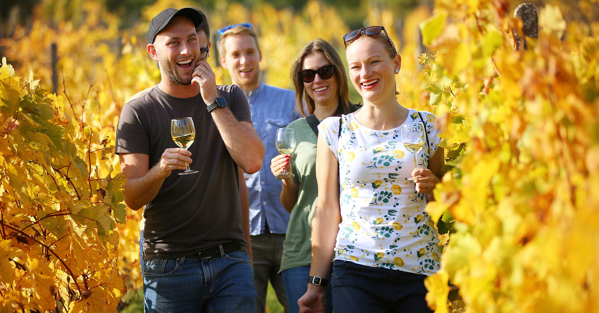 People in the vineyard