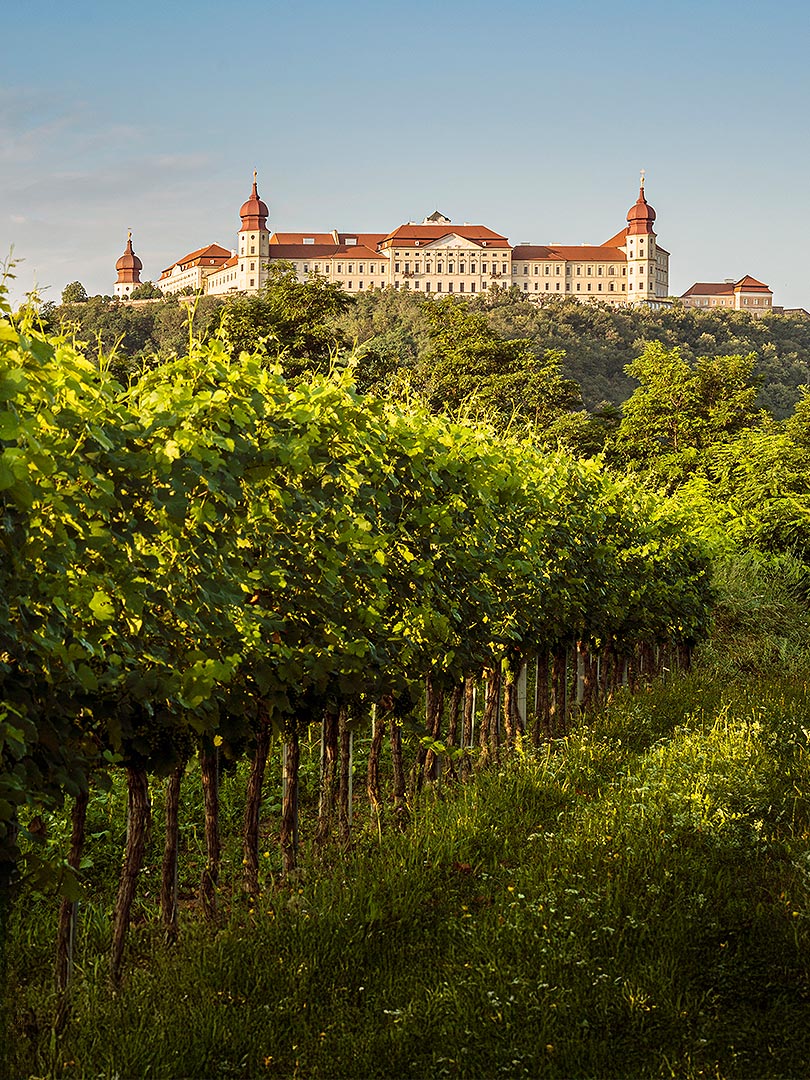 The Danube Wine Region
